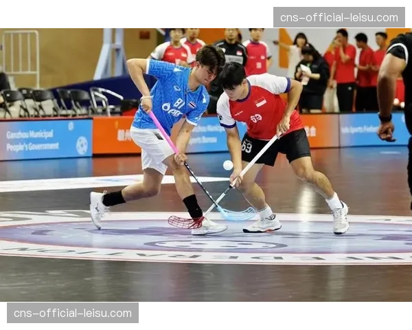 技术创新推动市场增长，碳纤维曲棍球棒提升运动员性能